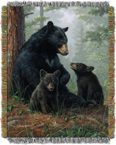 Northwest Hautman Brothers Wildlife Art Woven Tapestry Throw Blanket, 48" x 60", Naptime - color: Naptime