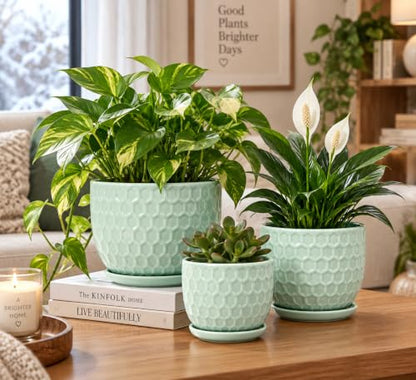 Ceramic Flower Pots with Drainage Hole and Saucer, Modern Round Succulent Planters with Honeycomb Inspired Texture Design, Small to Medium Sized, Set of 3, Green - size: 6.4"+5.2"+3.7" - Set of 3, style: Honeycomb