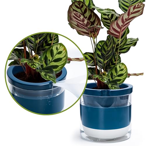 D'vine Dev Self-Watering Blue Terracotta Planter Pot, 8 in, 37-X-C-4 - color: Blue, size: 8 Inch