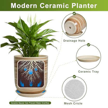 8 Inch Plant Pot, Ceramic Planter for Plants, Yellow - color: Yellow Stripes, size: 8 Inch
