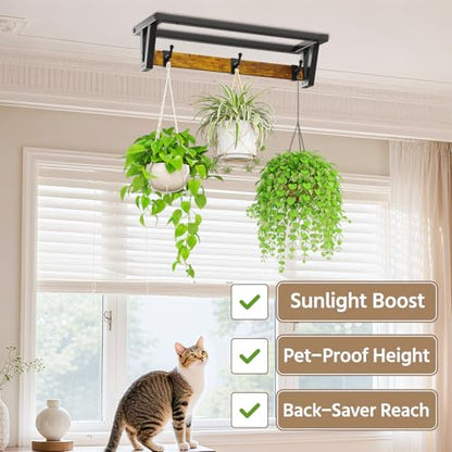 LASZOLA Plant Hanger Holder Shelf Indoor Window Wall Mount, 2 Pack Brown - color: Black+Brown, size: 2