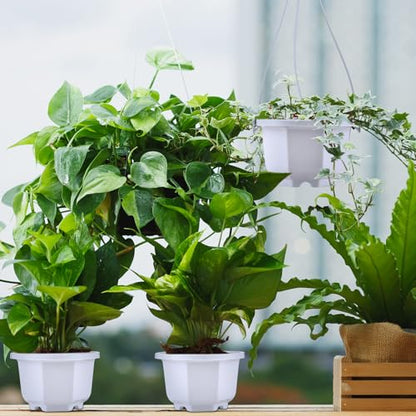 Roshtia 24 Pcs Hanging Planter Pot with Hook, Ceramic White, 3.7 Inch - color: Ceramic White, size: 3.7 Inch