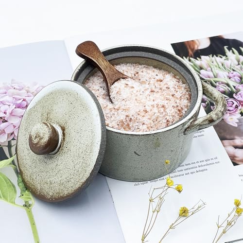 12 oz Ceramic Salt Cellar with Lid & Wooden Spoon,Countertop Salt Container,Sugar Bowl,Spices Jar| Artisan Kitchen Decor(Coarse Pottery) - color: Coarse Pottery B