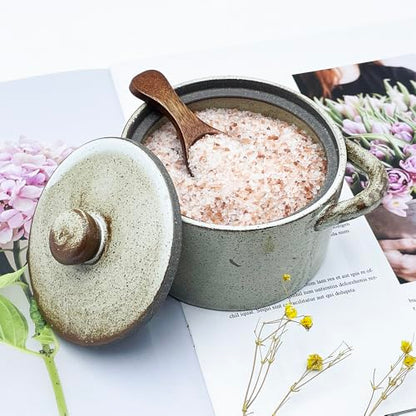 12 oz Ceramic Salt Cellar with Lid & Wooden Spoon,Countertop Salt Container,Sugar Bowl,Spices Jar| Artisan Kitchen Decor(Coarse Pottery) - color: Coarse Pottery B