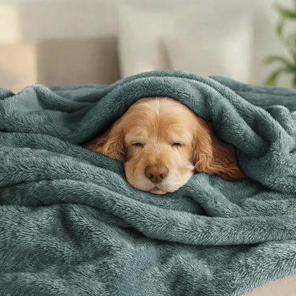 Exclusivo Mezcla Fuzzy Plush Fleece Bed Blanket Twin XL Size, Celadon - color: Celadon, size: 90x66 IN