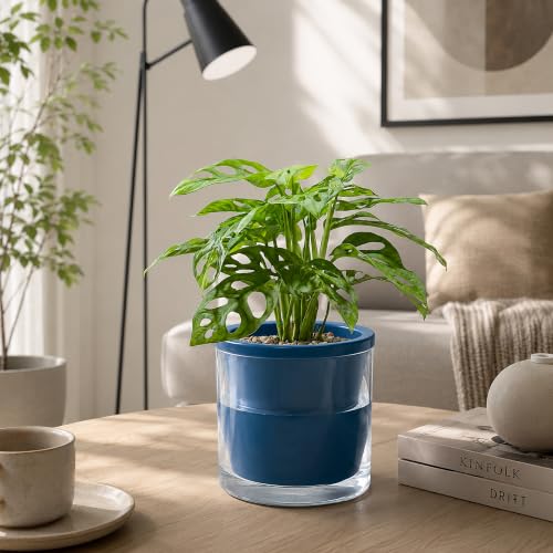 D'vine Dev Self-Watering Blue Terracotta Planter Pot, 6 in, 37-X-B-4 - color: Blue, size: 6 Inch