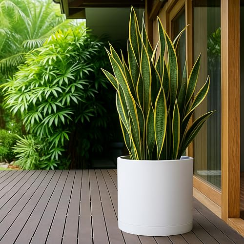 D'vine Dev Plastic Planter Pot with Saucer, 16 in, White, 74-X-A-5 - color: Matte White, size: 16"