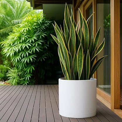 D'vine Dev Plastic Planter Pot with Saucer, 16 in, White, 74-X-A-5 - color: Matte White, size: 16"