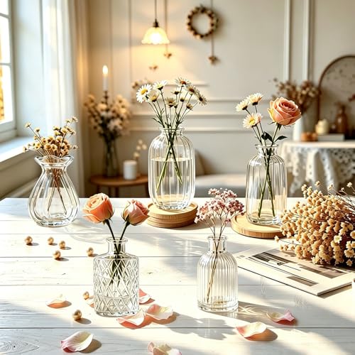 KJHL 5 Pcs Small Glass Bud Vases, Mini Flower Vases for Wedding Centerpiece - size: 5 Pcs