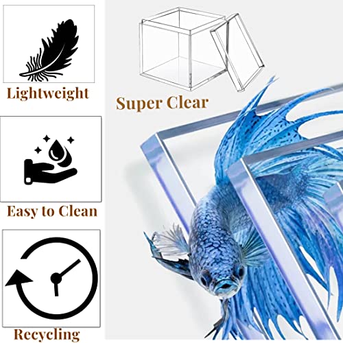 KissYou Acrylic Box Clear Box with Lid 3.15 x 3.15 x 3.15 Inch 2 Pack - size: 3.15 x 3.15 x 3.15 Inch