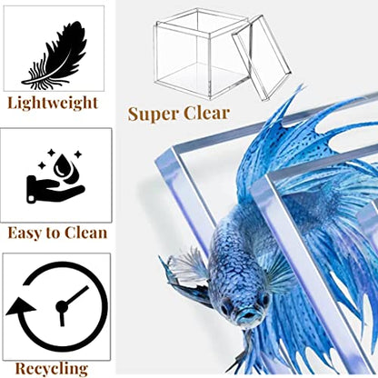KissYou 2‑Pack Acrylic Box with Lid 2.95 x 2.95 x 2.95 Inch Jewelry Box - size: 2.95 x 2.95 x 2.95 Inch