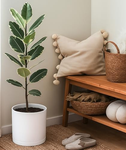 D'vine Dev Plastic Planter Pot with Saucer, 10 in, White Color, 74-X-A-2 - color: Matte White, size: 10 Inch
