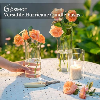 Glasseam Glass Cylinder Vase for Centerpiece, 12Pcs Small Clear Flower Vase - size: 8In