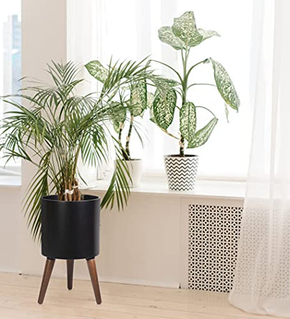 D'vine Dev 12 Inch Planter Pot with Wood Stand, Black, 88-O-C-2 - color: Matte Black, size: Large