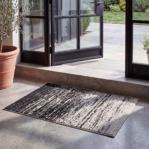 SAFAVIEH Adirondack Accent Rug 2'6"x4', Silver & Black ADR113A - color: Silver/Black, size: 2'6" x 4' (Rectangular)