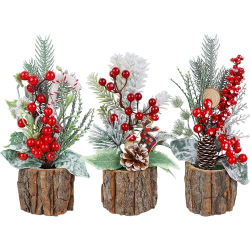 winemana Mini Christmas Trees Table Decorations for Indoor Office, 3 Pack - size: Style 6