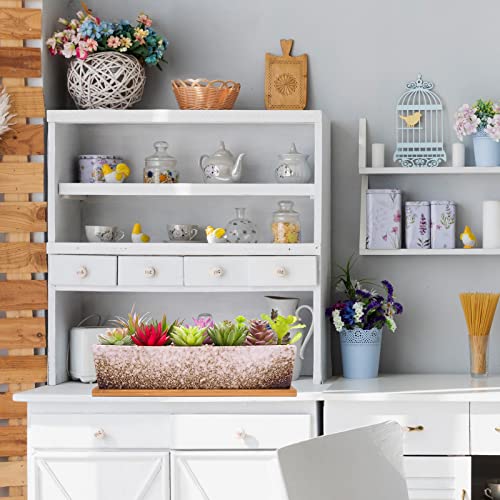 Succulent Pots - 12.1 Inch Large Succulent Planters Pots with Drainage Tray - color: White