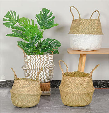 DOKOT Seagrass Plant Basket with Handles, Round Storage Wicker Basket (10.6inch Diameter x 12.5inch Height, Natural) - size: XL (10.6" D x 12.5" H )