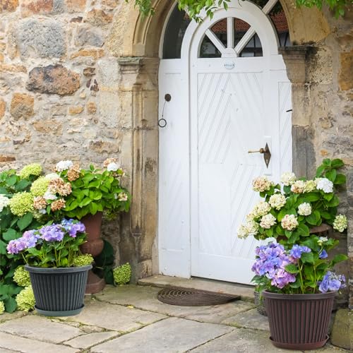 Large-Planter-Indoor-Outdoor Plant Pots, 12 inch 4 Pack Plastic Flower Pots with Saucer And Drainage Holes, Modern Garden Planters For Planting Medium Large Plants, Decorative Resin Garden Pots - color: Blue Green, size: 12 Inch
