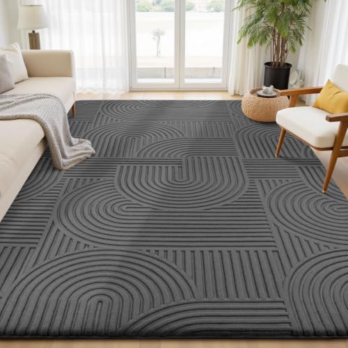 Sour Lemon 10x14 Area Rugs for Living Room Bedroom, Grey Rug Large Carpet - color: Dark Grey, size: 10' x 14' (Rectangular)