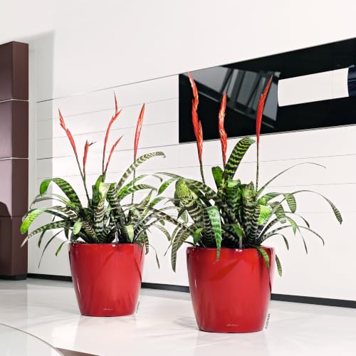 Lechuza 16027 Classico LS 21 Self-Watering Planter, Scarlet Red High Gloss - color: Red High-gloss, size: D21 H20 cm