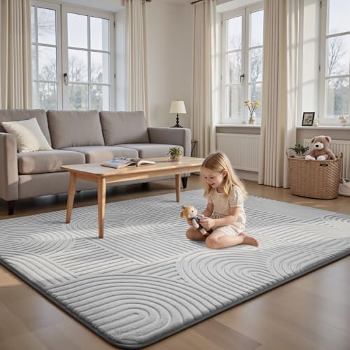 Sour Lemon 6x9 Area Rugs for Living Room Bedroom, Grey Rug Large Carpet - color: Light Grey, size: 6' x 9' (Rectangular)
