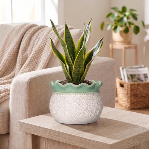 Ceramic Planter, 6 Inch Unique Planters with Drainage, White-Green - color: White-green, size: 6 Inch