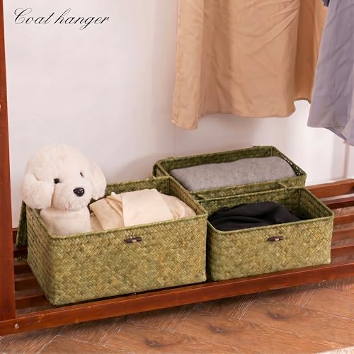 Nonam Seagrass Storage Basket with Lid, Set of 3, Dark Moss Green - color: Dark Moss Green * Set of 3