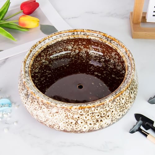Succulent Pots, 8 Inch Large Bonsai Pots with Drainage, Ceramic Planters - color: White
