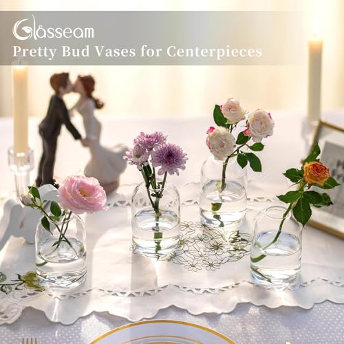 Glasseam Glass Bud Vases for Single Stem Flower, Small Clear Vase Set of 12 - size: S-12Pcs