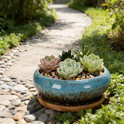 Succulent Pots, 7.3 Inch, Round Large Shallow Flower Plant Pots