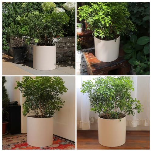 10 Inch Beige Metal Plant Pot with Drainage Hole, Indoor Outdoor - color: 10 Inch Beige