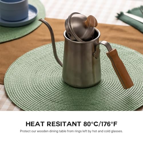 Baroyal Round Placemats Set of 8 Plastic Woven Placemats Washable Wipeable Table Mats for Dining Table Heat Resistant Non-Slip Circle Place Mats (Green) - color: Green