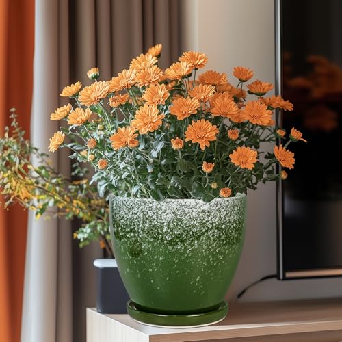Ceramic Pots for Plants - 8 Inch Planter for Indoor Outdoor Plants, Round Planter, Large Flower Pot with Drainage and Saucer, Home Room Garden Office Decor, Birthday Gifts, Green - color: Blackish Green, size: 8 Inch