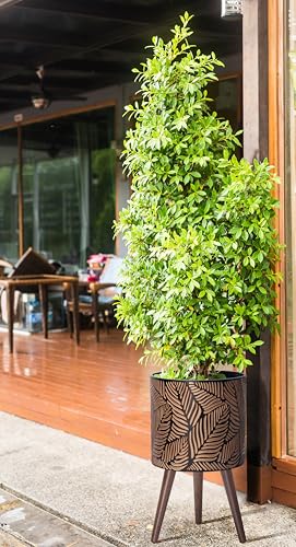 D'vine Dev 12 Inch Planter Pot with Wood Stand, Bronze/Grey, 88-L-C-6 - color: Bronze/Grey, size: Large