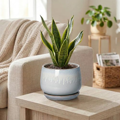 Ceramic Plant Pots 6 Inch, Indoor Flower Pots, Grey-White - size: 6 Inch, style: Grey-white