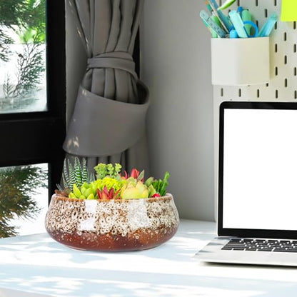 Succulent Pots, 8 Inch Large Bonsai Pots with Drainage, Ceramic Planters - color: White