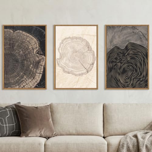 DRACIT Beige Pastel Wood Tree Rings Framed Canvas Wall Art Set-16"x24"x3 - color: Beige Tree Rings Wall Art, size: 16"L x 24"W
