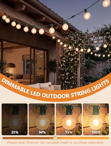 25FT LED G40 Frosted White Outdoor String Lights 27 Shatterproof Globe Bulb - color: Frosted Green, size: 25Ft