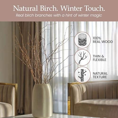 Branches for Vase, 3'–4' Natural Birch Tree Branches for Decoration, Bundle of 10 Tall Decorative Sticks for Vases, Rustic Wood Branches for Crafts, Weddings, Seasonal & Home Décor - Winter - color: Touch of Winter