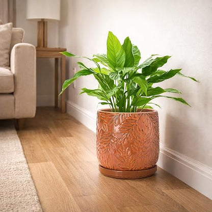 D'vine Dev Embossed Leaves Ceramic Planter, 8 in, Pumpkin, 27-A-Q-J - color: Pumpkin, size: 8 Inch