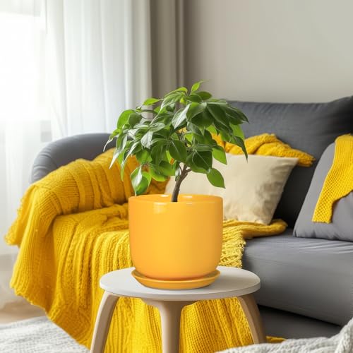 Ceramic Plant Pot 8 Inch, Indoor Planter, Yellow - color: Gloss Yellow, size: 8 Inch