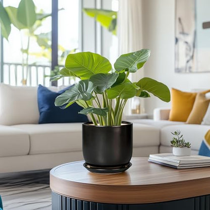 Ceramic Planter 7 Inch Plant Pot with Drainage, Black - color: Matte Black, size: 7 Inch