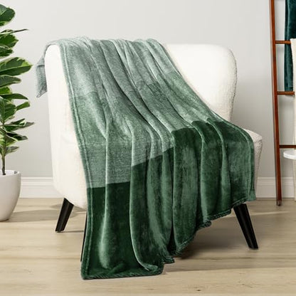 PAVILIA Green Ombre Fleece Throw Blanket for Couch Sofa Bed, 60x80 Twin - color: Gradient - Green, size: 60 x 80 Inches - Twin