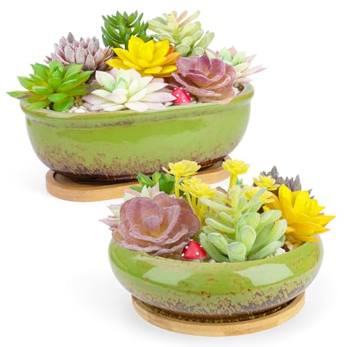 Succulent Pots, 1 Rectangle Planter + 1 Ceramic Bonsai Pots with Drain Tray - color: Green