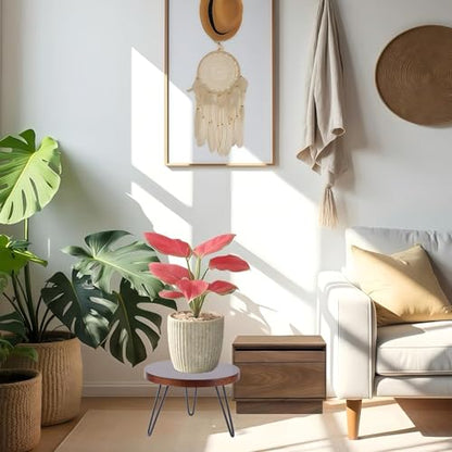 Plant Stand Indoor Outdoor, Wooden plant Stool, Mid Century Plant Stand for Indoor Plants, Wood Modern Plant Holder Rattan Flower, Low Short Boho Rustic Planter Stand Fit 5-15 Inch Pot (Walnut, M)