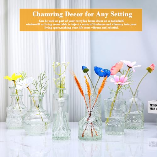 Clear Flower Vase Set, Glass Bud Vase in Bulk Set of 8 - color: Clear, size: 8 pcs