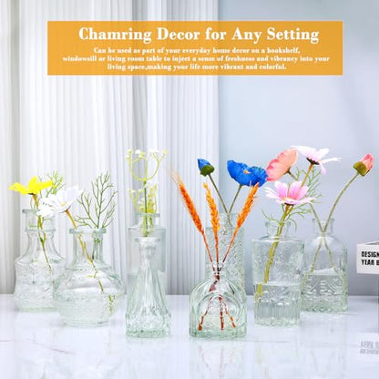Clear Flower Vase Set, Glass Bud Vase in Bulk Set of 8 - color: Clear, size: 8 pcs