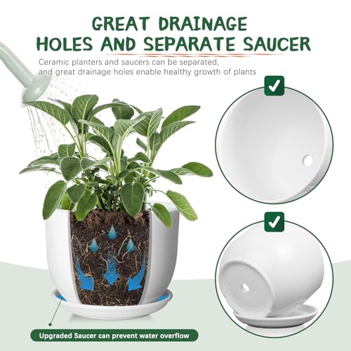 8 Inch Ceramic Plant Pot,Ceramic Planter,White - size: 8 Inch 1 Pc