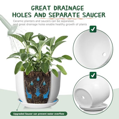 8 Inch Ceramic Plant Pot,Ceramic Planter,White - size: 8 Inch 1 Pc